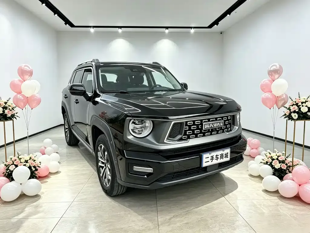 Haval H7 (Big Dog Plus) — фото 1