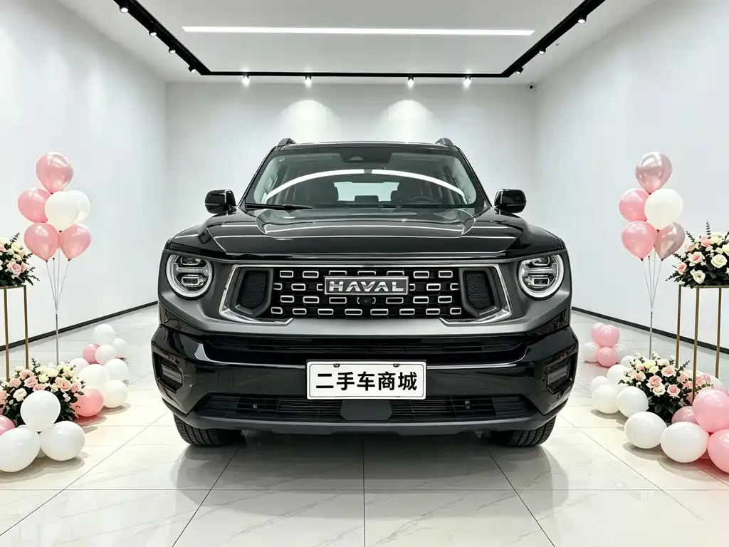 Haval H7 (Big Dog Plus) — фото 10