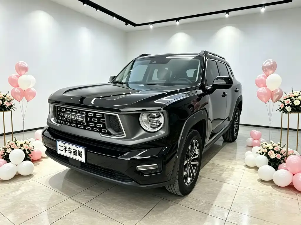 Haval H7 (Big Dog Plus) — фото 4
