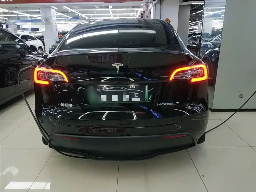 Tesla Model Y — фото 2