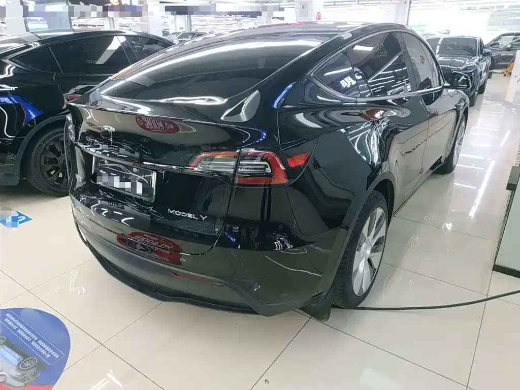 Tesla Model Y — фото 3