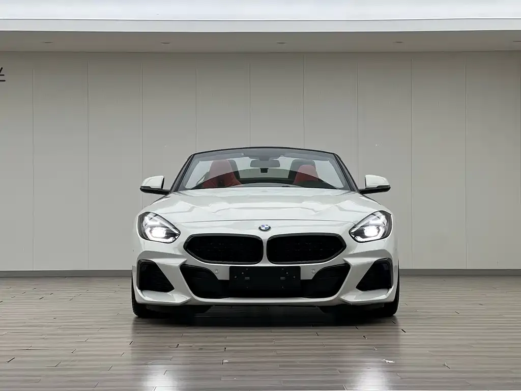 BMW Z4 — фото 6
