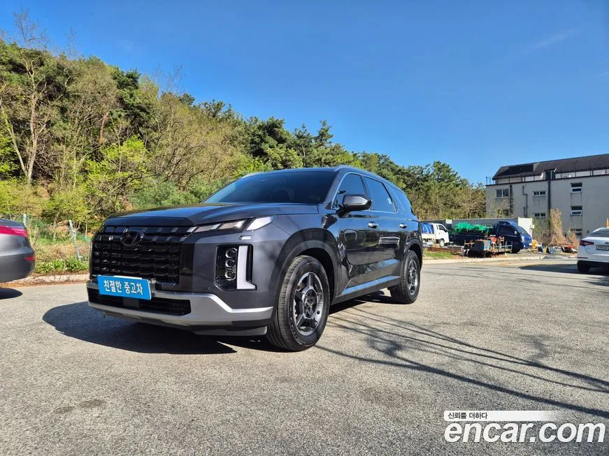 Hyundai Palisade — фото 10