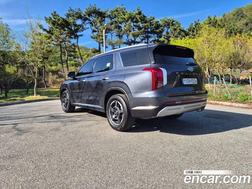 Hyundai Palisade — фото 8