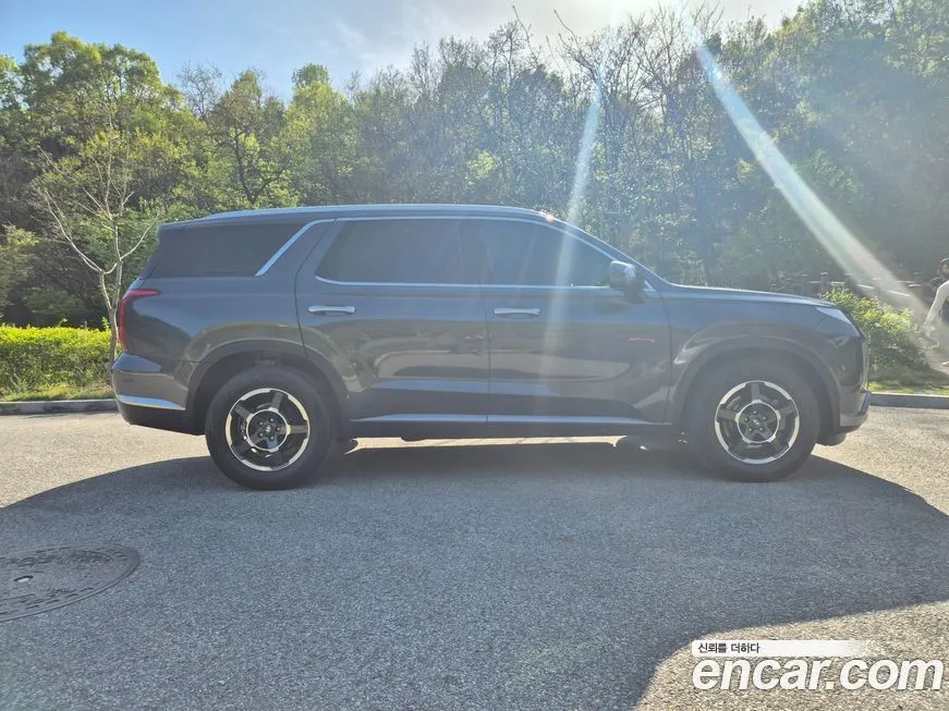 Hyundai Palisade — фото 9