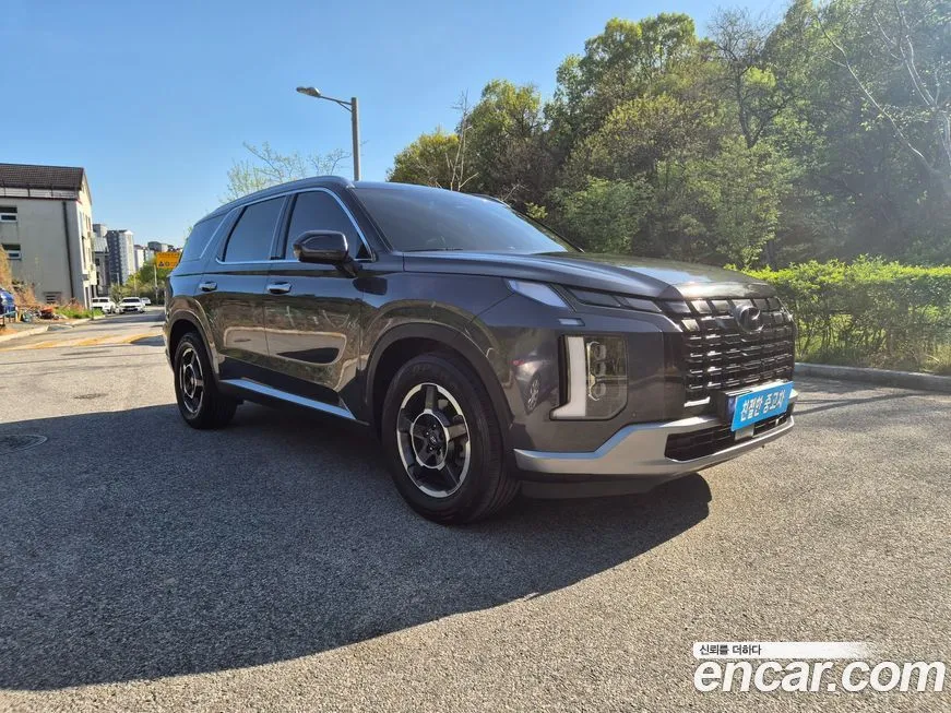 Hyundai Palisade — фото 6