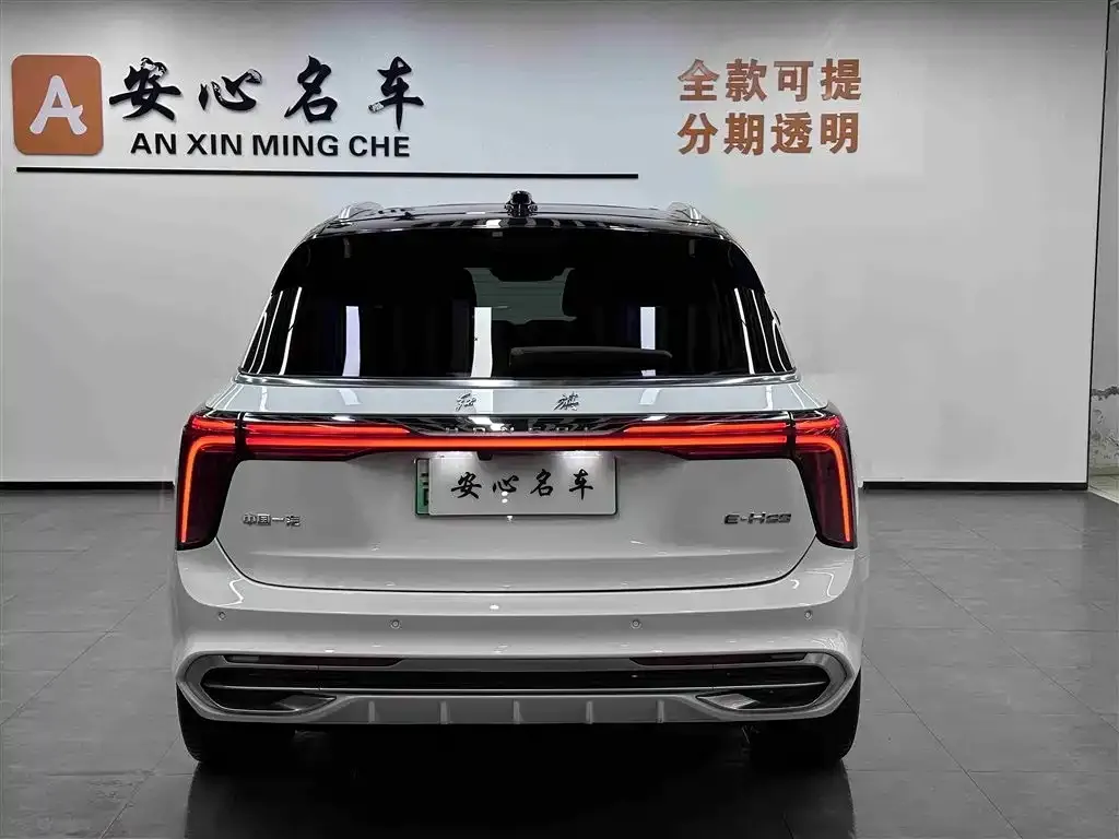 Hongqi E-HS9 — фото 3