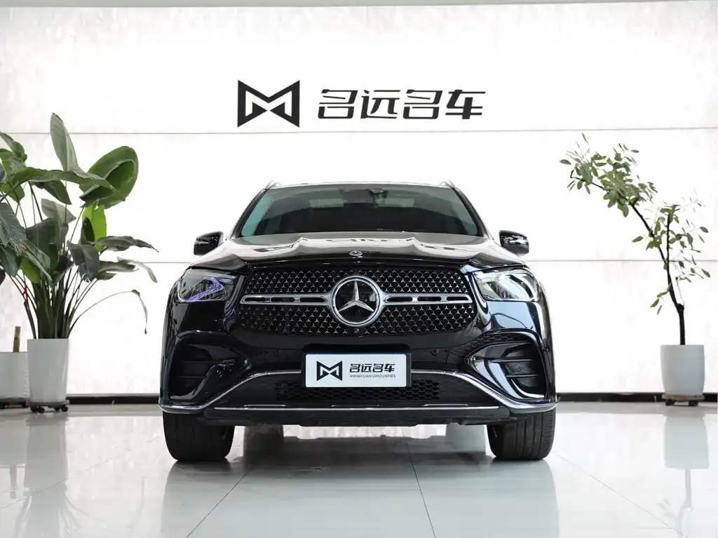 Mercedes-Benz 奔驰GLE(进口) — фото 3