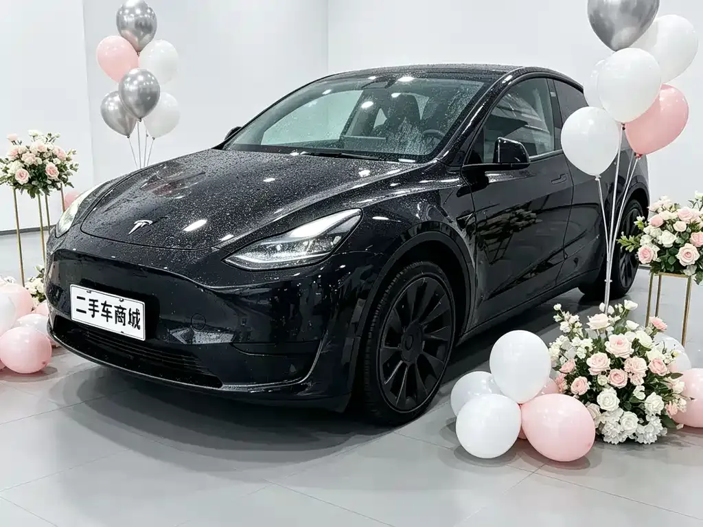 Tesla Model Y — фото 1