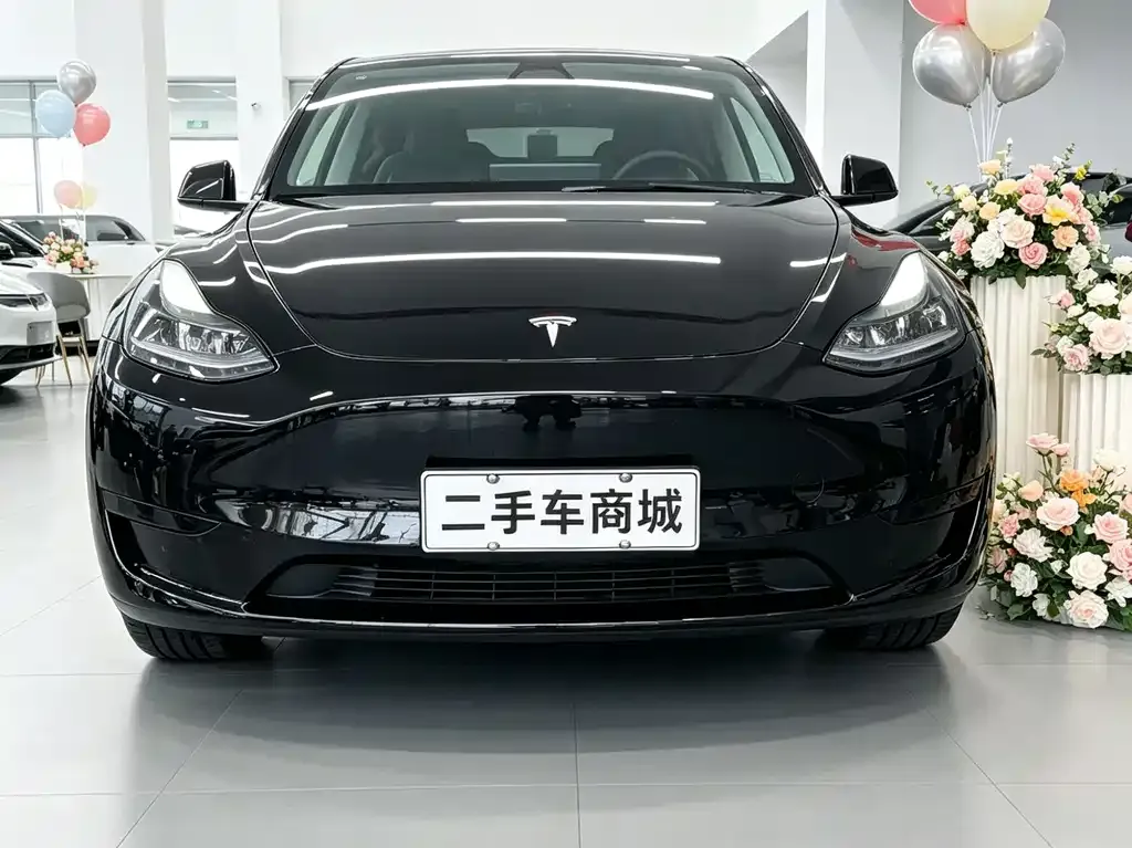 Tesla Model Y — фото 5