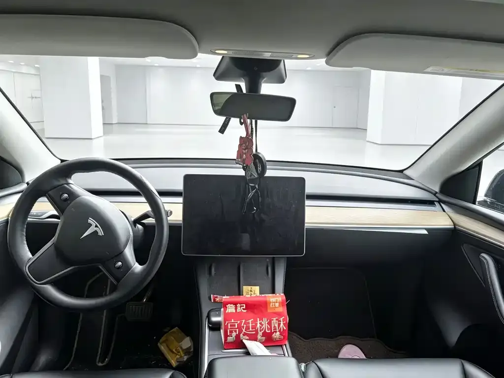 Tesla Model Y — фото 3