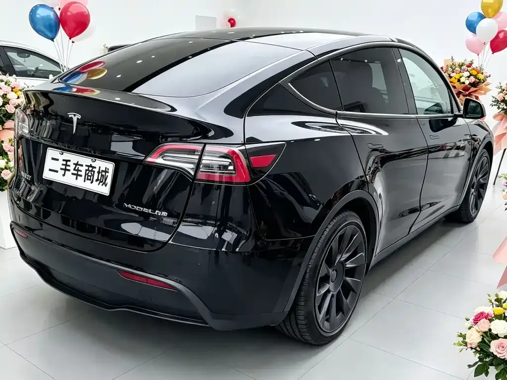 Tesla Model Y — фото 2