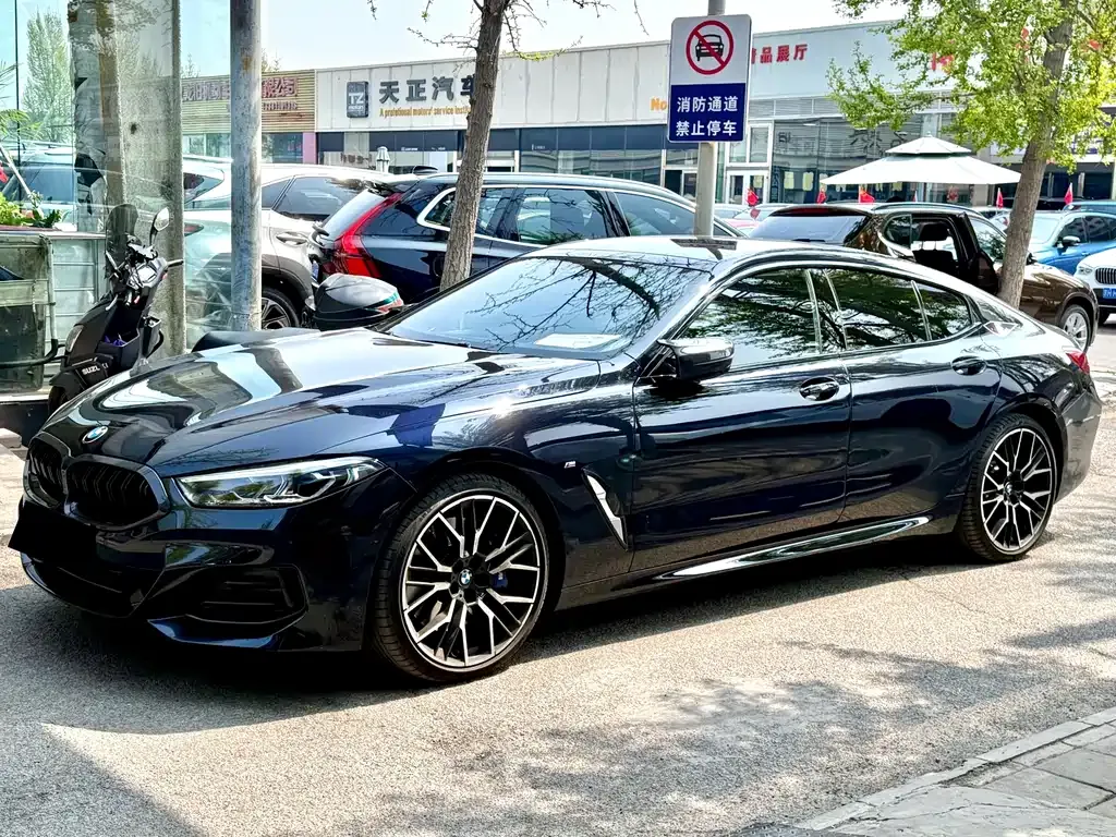 BMW 8 Series — фото 1