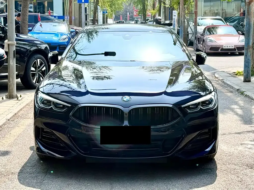 BMW 8 Series — фото 8