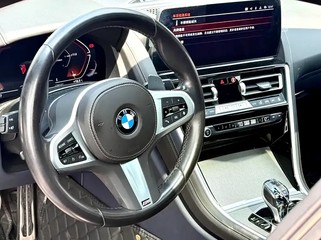 BMW 8 Series — фото 6