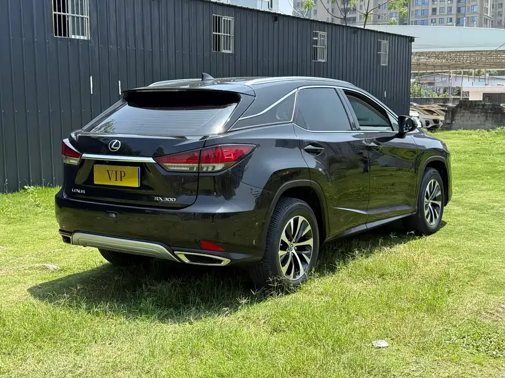 Lexus RX — фото 10