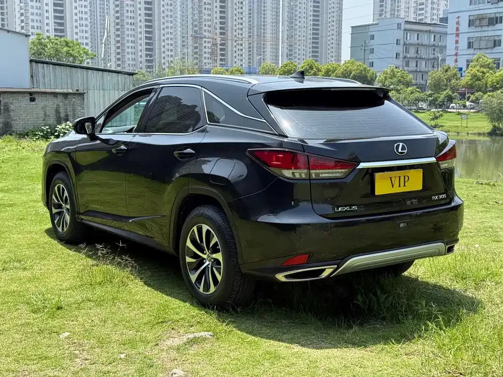 Lexus RX — фото 8