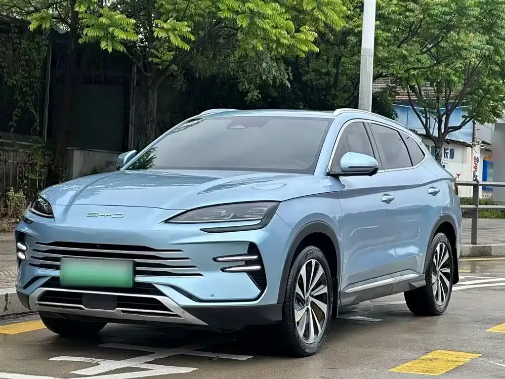 BYD PLUS New Energy — фото 3