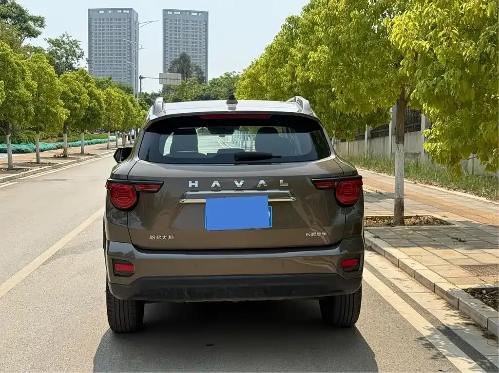 Haval H7 (Big Dog Plus) — фото 6
