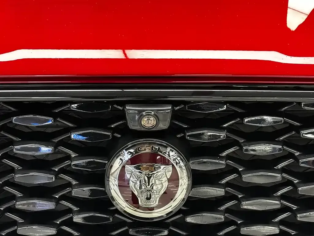 Jaguar F-PACE — фото 5