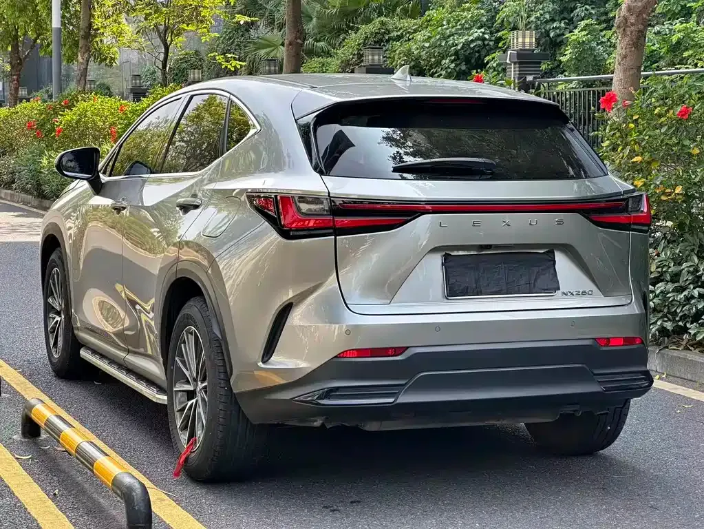 Lexus NX — фото 10