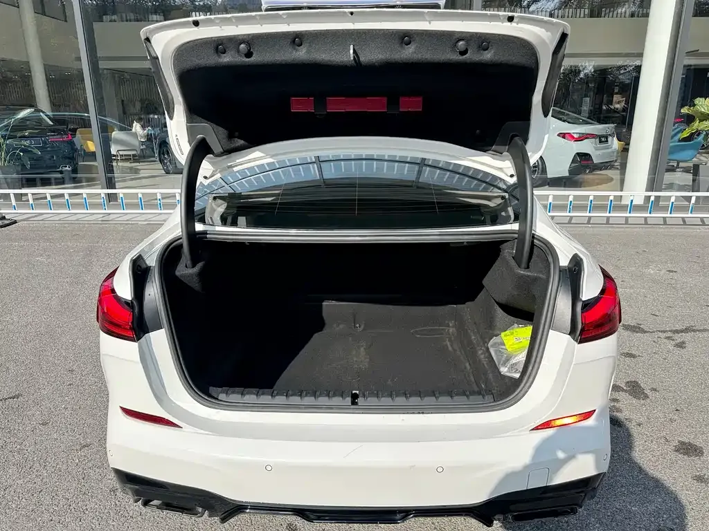 BMW 2 Series (Import) — фото 8