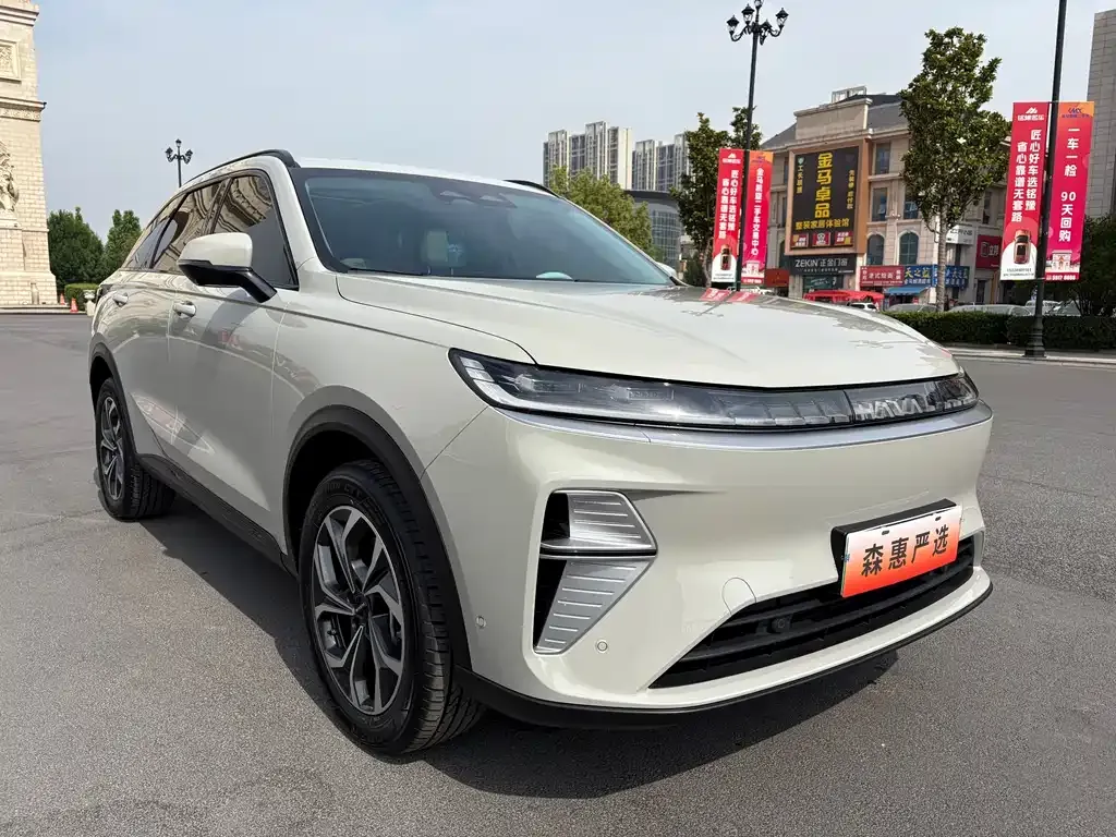Haval Xiaolong MAX — фото 9