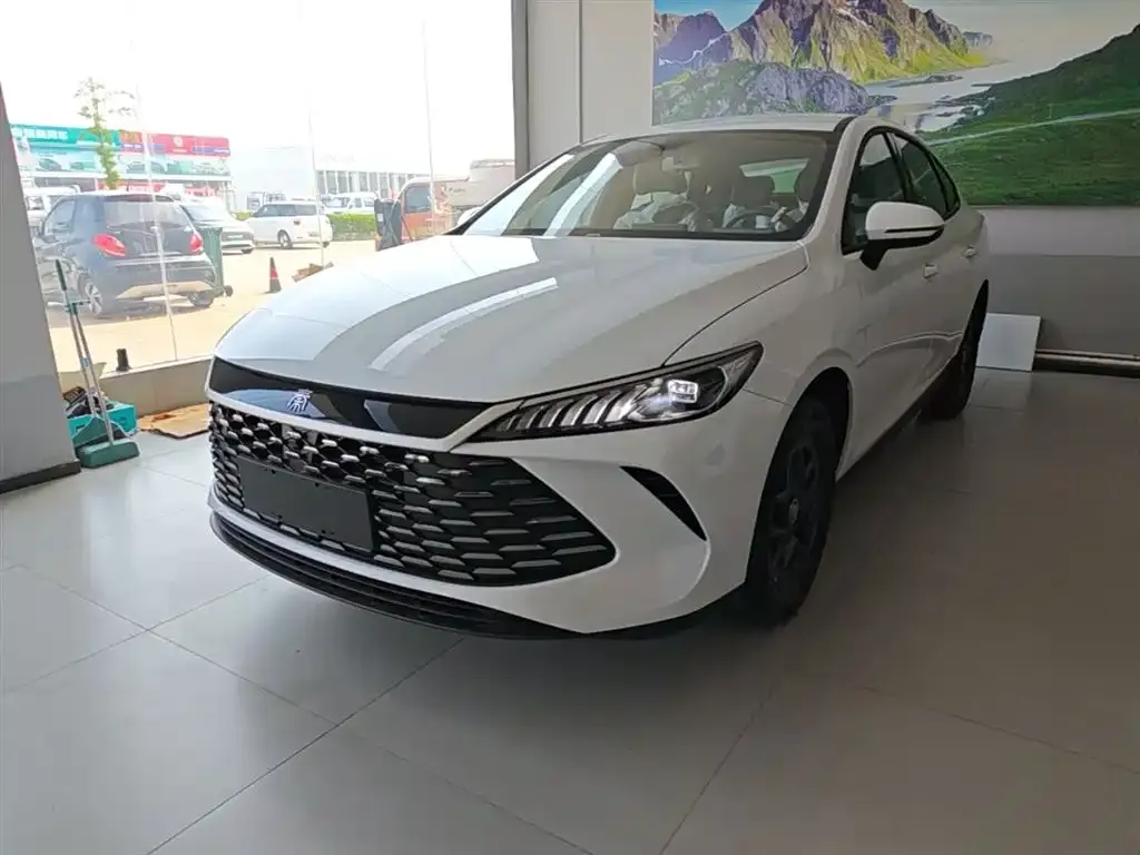 BYD Qin PLUS — фото 2