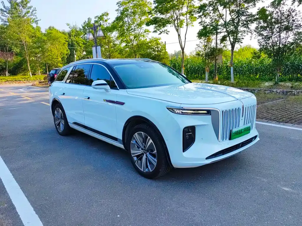 Hongqi E-HS9 — фото 5
