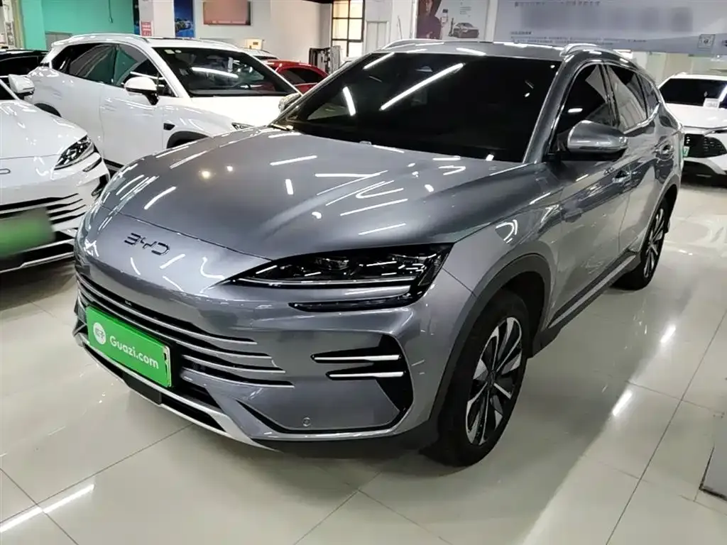 BYD PLUS New Energy — фото 9