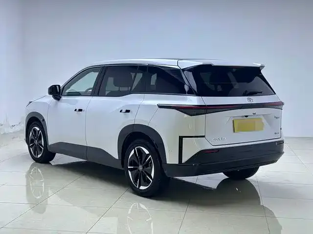 Toyota Platinum 3X — фото 2