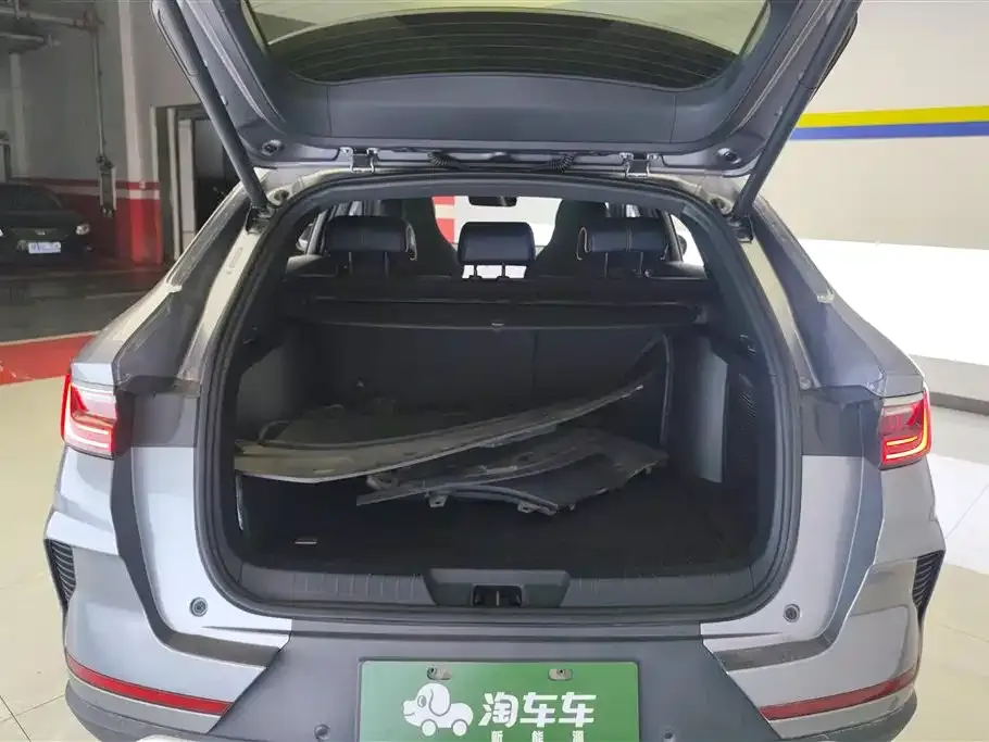 BYD PLUS New Energy — фото 9
