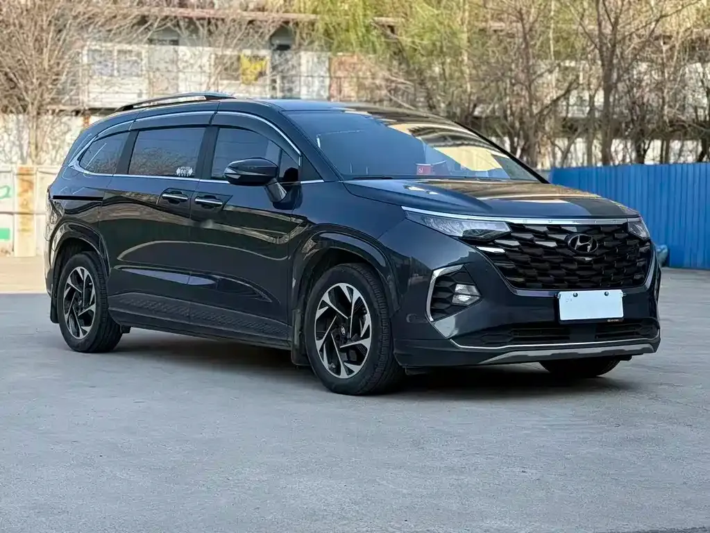 Hyundai Custo — фото 7