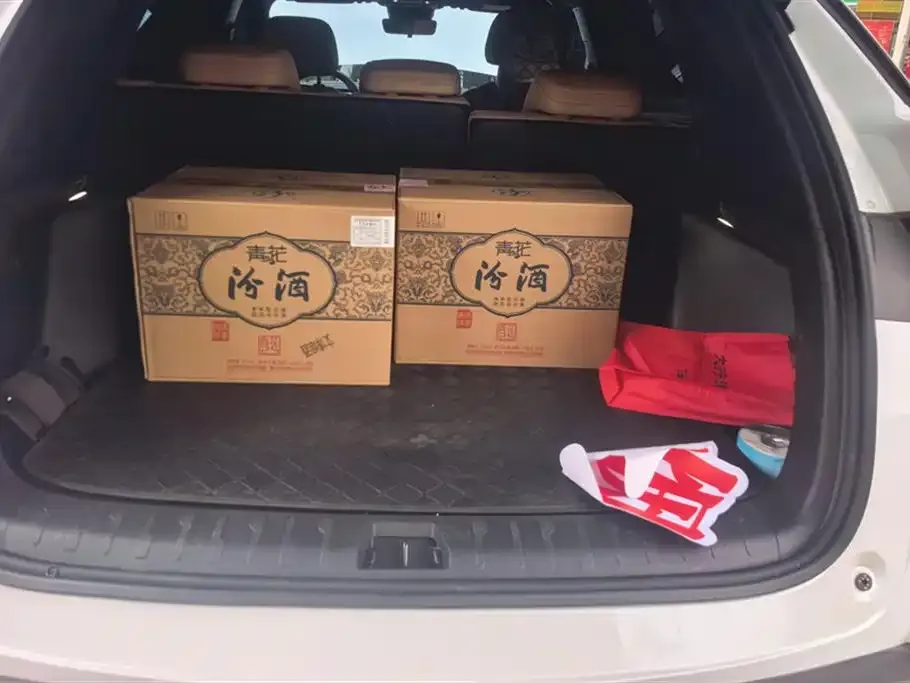 BYD L DM-i — фото 2