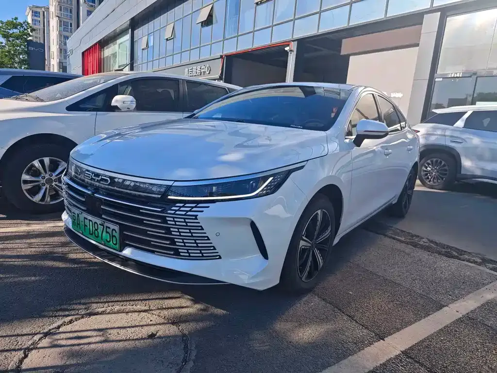 BYD Destroyer 05 — фото 1