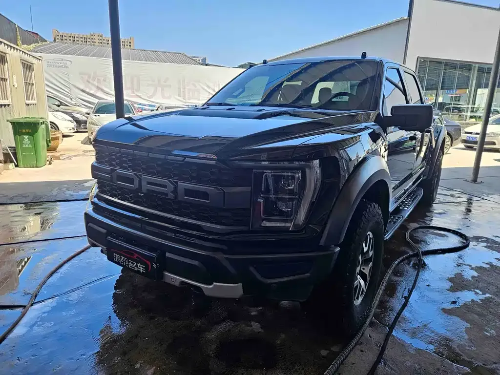 Ford F-150 Raptor — фото 1
