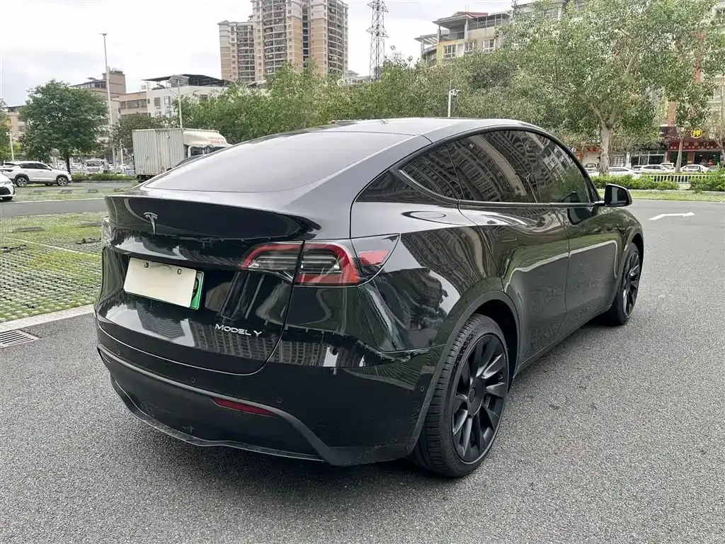 Tesla Model Y — фото 8