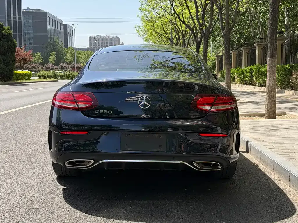 Mercedes-Benz C-Class (Import) — фото 8