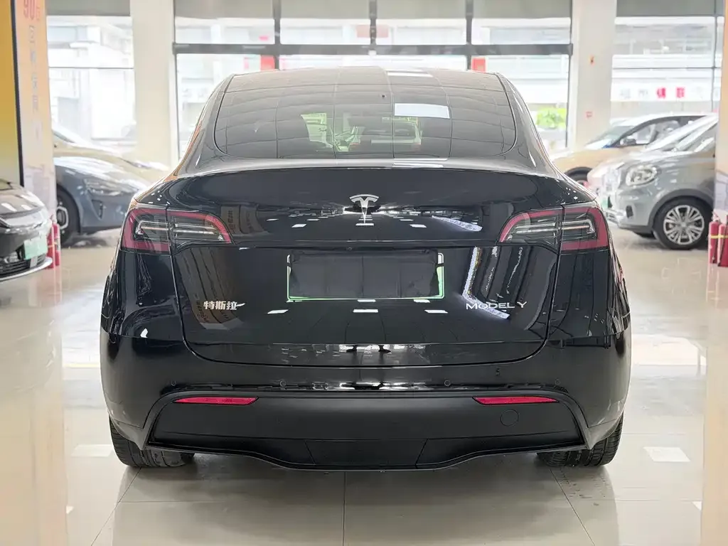 Tesla Model Y — фото 10