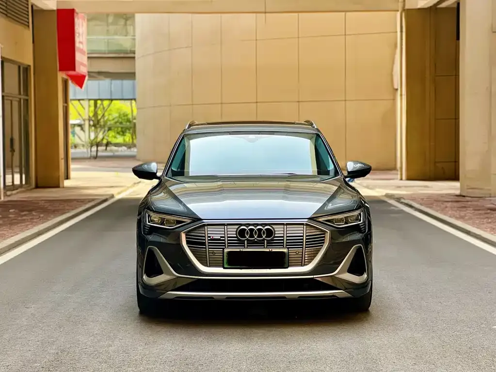 Audi e-tron — фото 10
