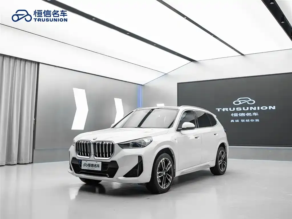 BMW X1 — фото 1
