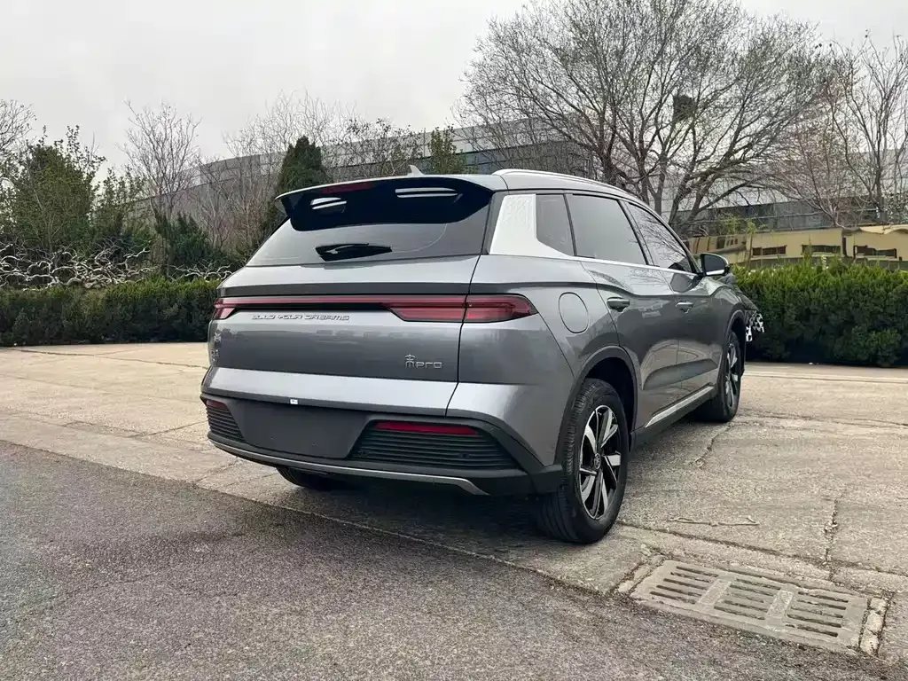 BYD Pro New Energy — фото 10