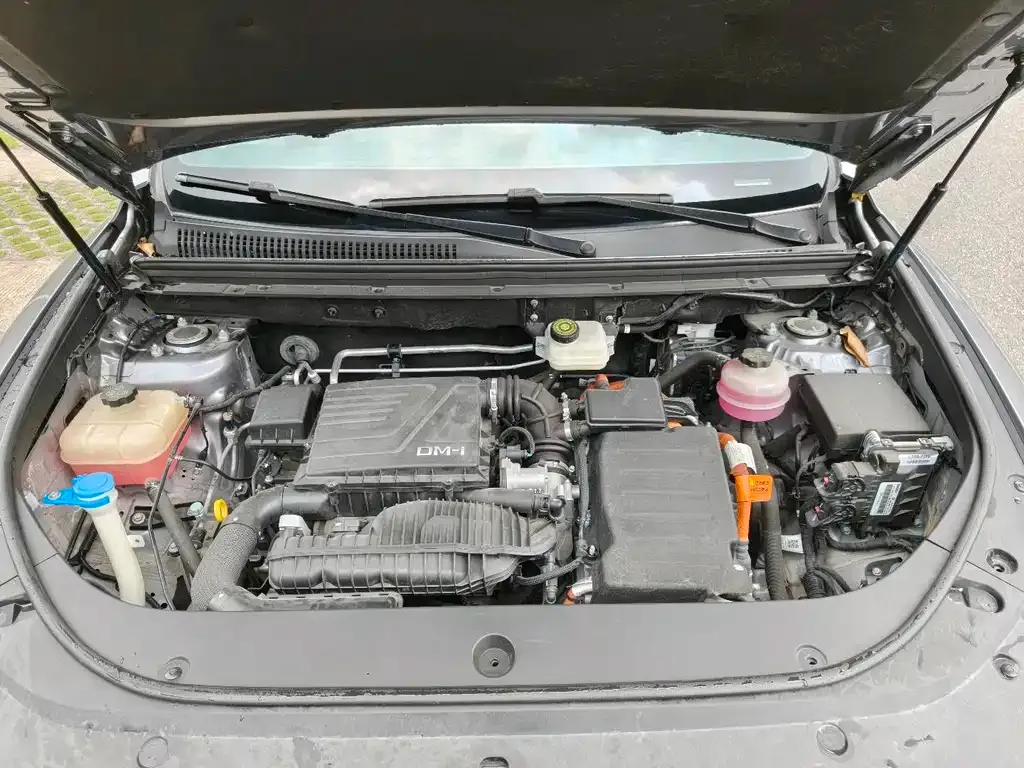 BYD Pro New Energy — фото 4