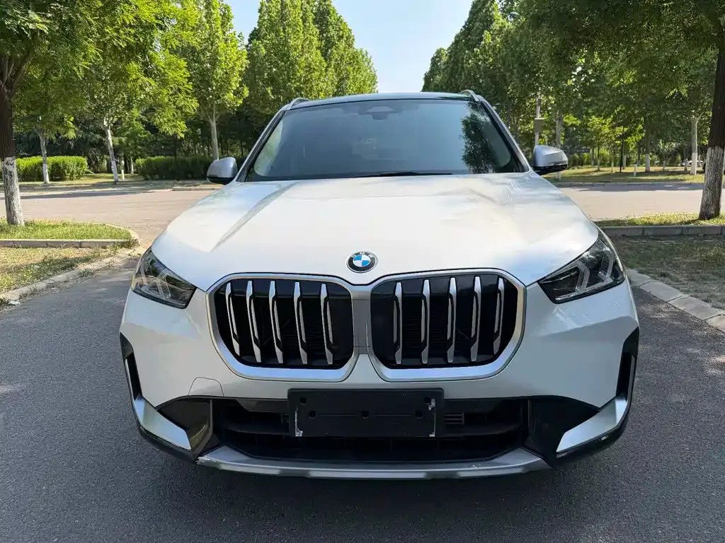 BMW X1 — фото 1