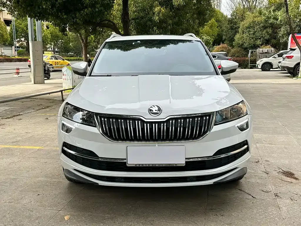Skoda Karoq — фото 8