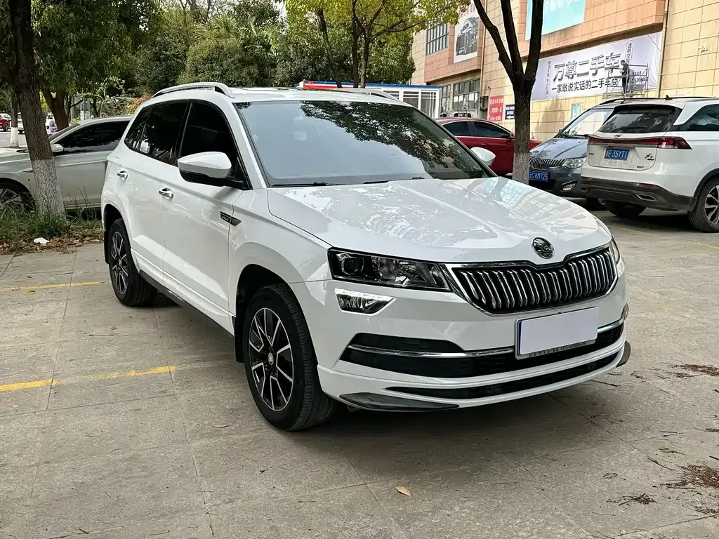 Skoda Karoq — фото 7