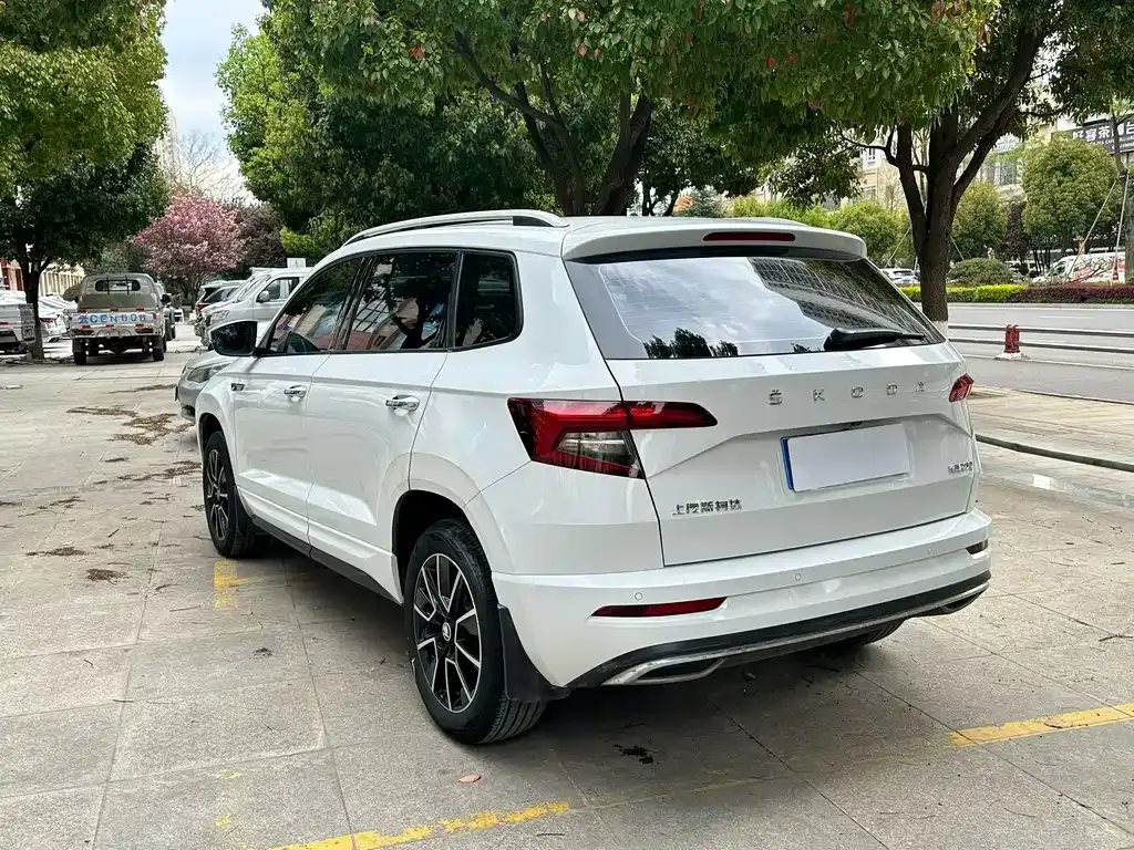 Skoda Karoq — фото 5
