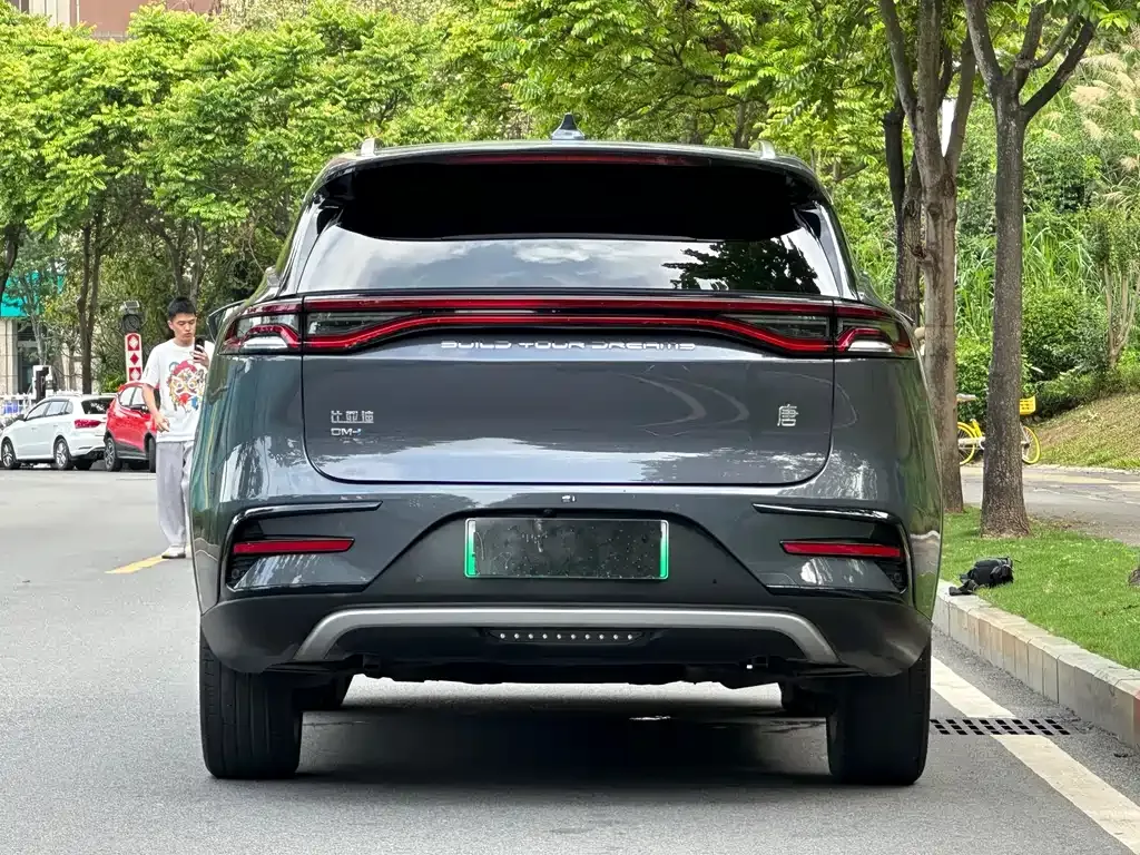 BYD Tang New Energy — фото 6