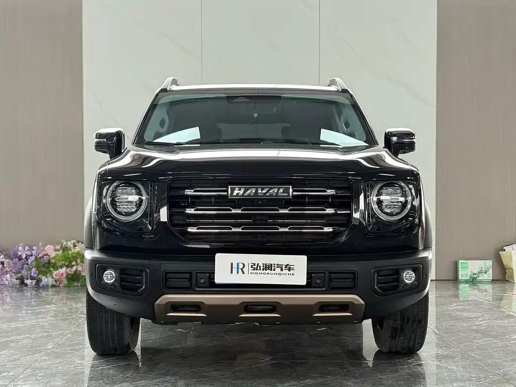Haval Big Dog — фото 7