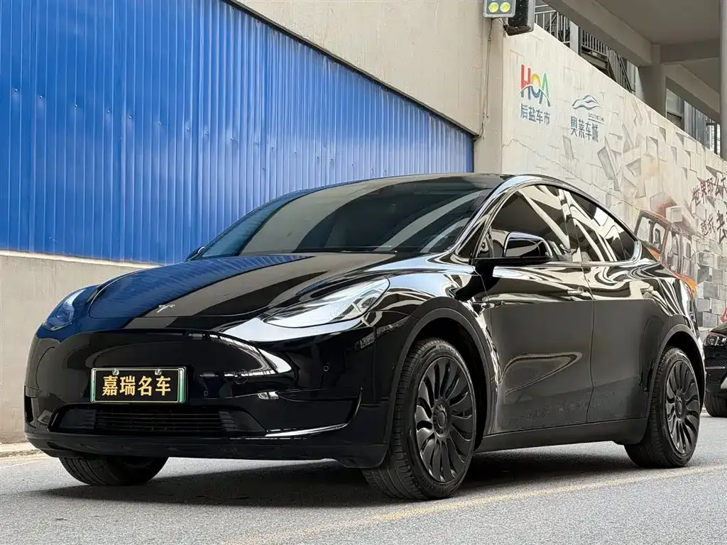 Tesla Model Y — фото 1